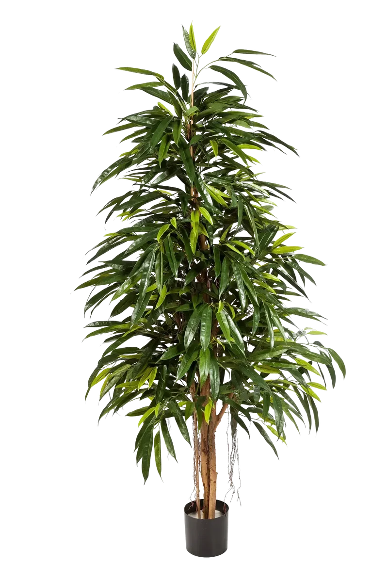 Kunstmatige Longifolia - Steffen | 210 cm