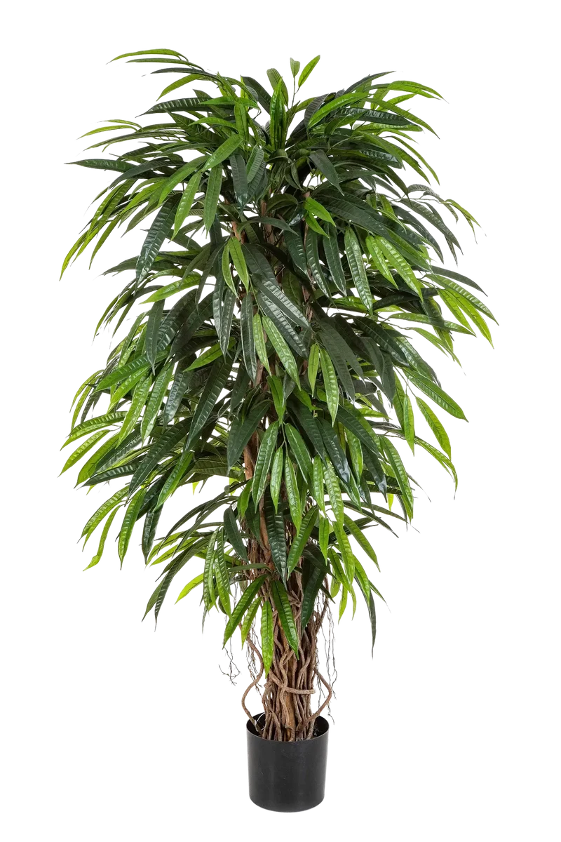 Kunstmatige Longifolia - Steven | 210 cm