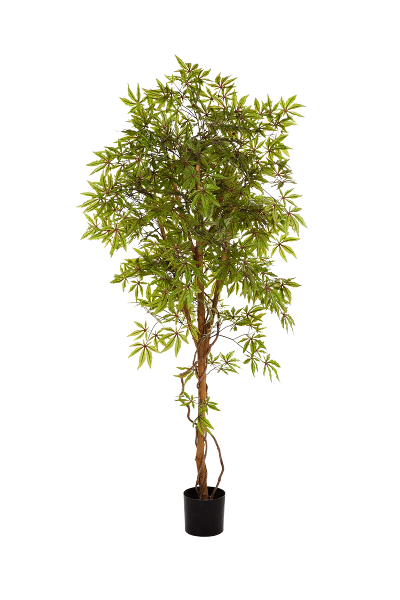 Japanse Kunstesdoorn - Oona | 210 cm