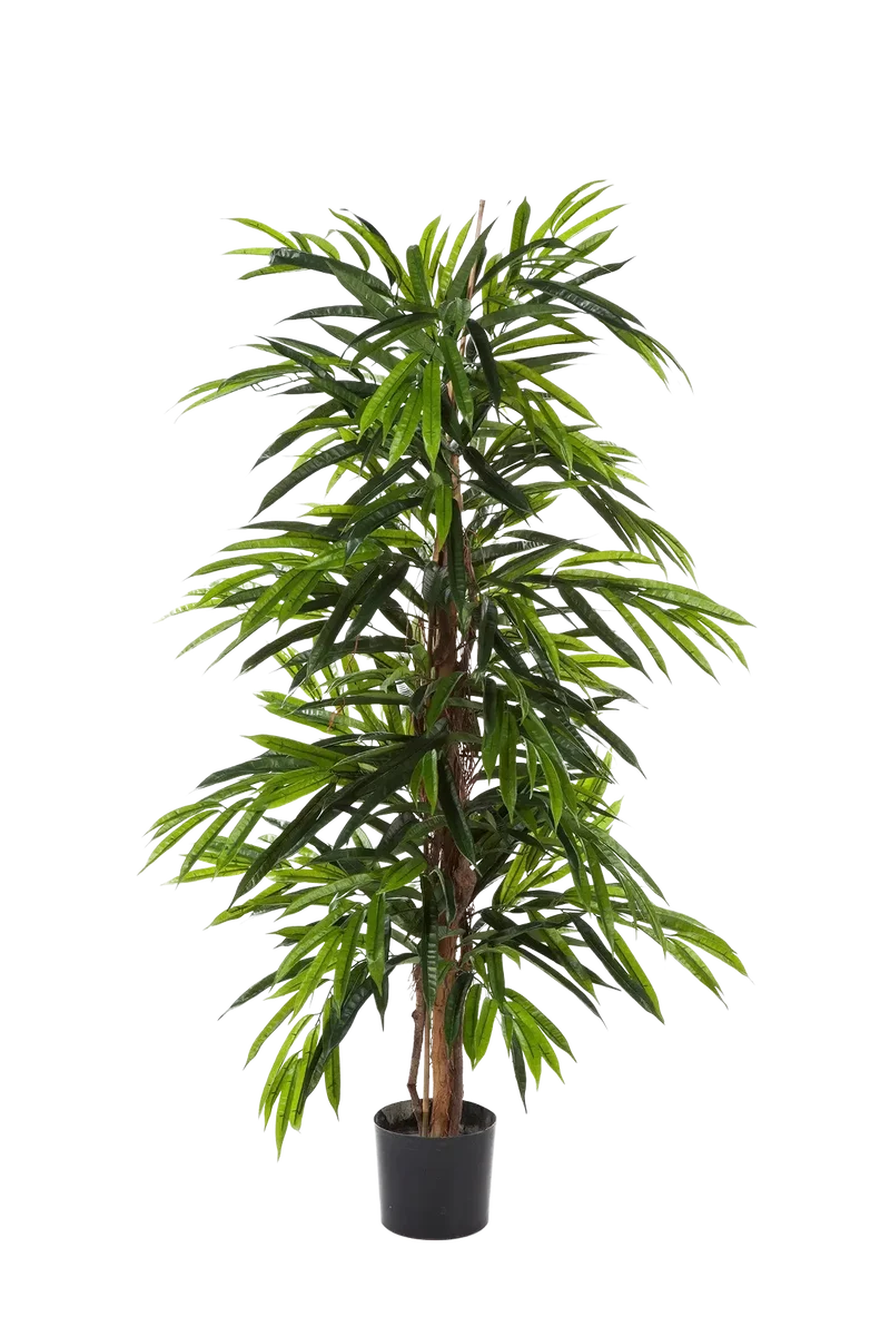 Kunstmatige Longifolia - Marvin | 210 cm