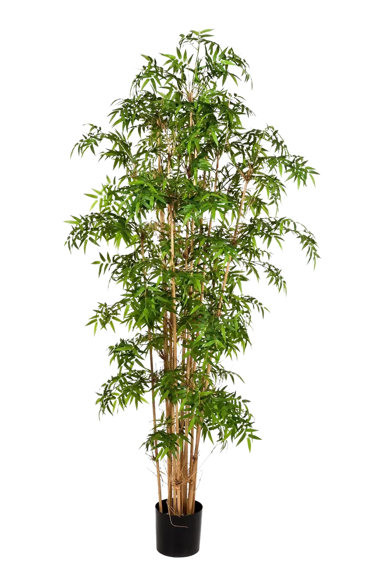 Kunst bamboe - Lucia | 230 cm
