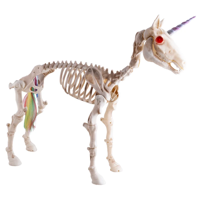 Eenhoorn skelet paard met regenboogstaart, 94 cm hoog