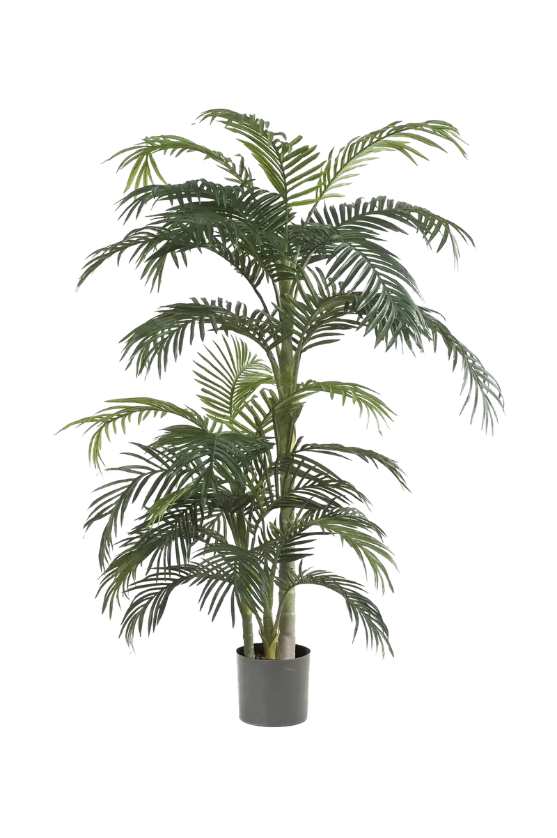Kunst Areca palm - Bobby | 130 cm
