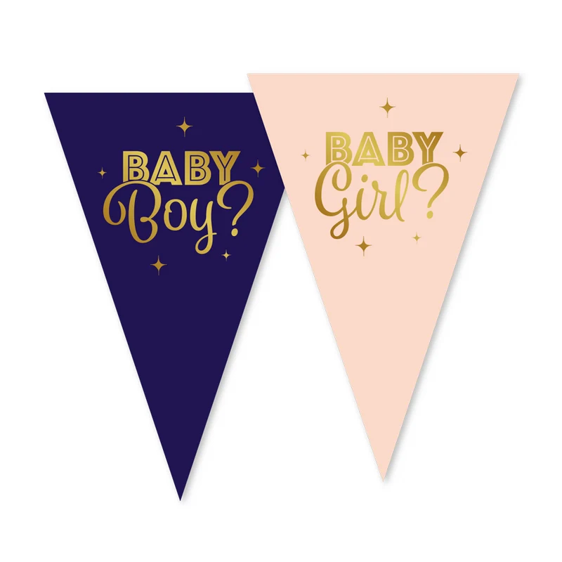 Vlaggenlijn / slinger Gender Reveal - 10 meter vlaggetjes