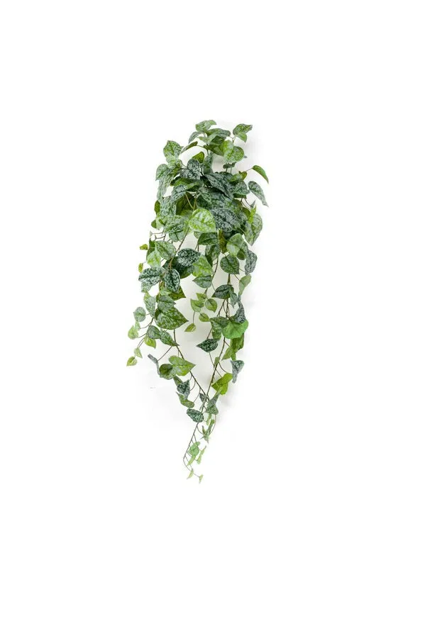 Scindapsus pictus hangende struik 90cm groen/grijs