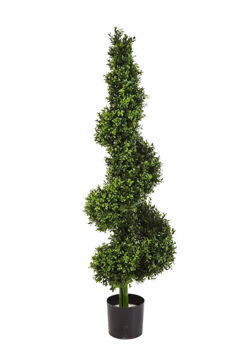 Kunst Buxus - Selina | 135 cm