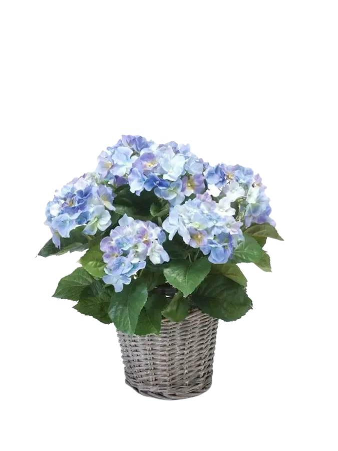 Kunst Hortensia - Levi | 45 cm