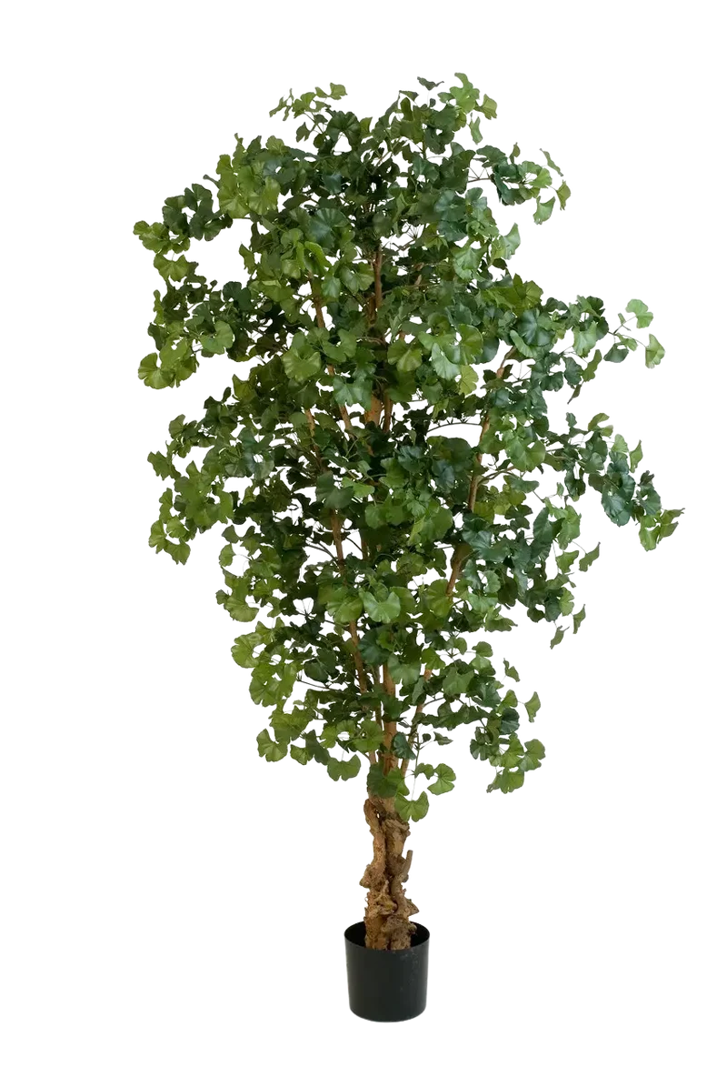 Kunst Gingko - Tamino | 210 cm