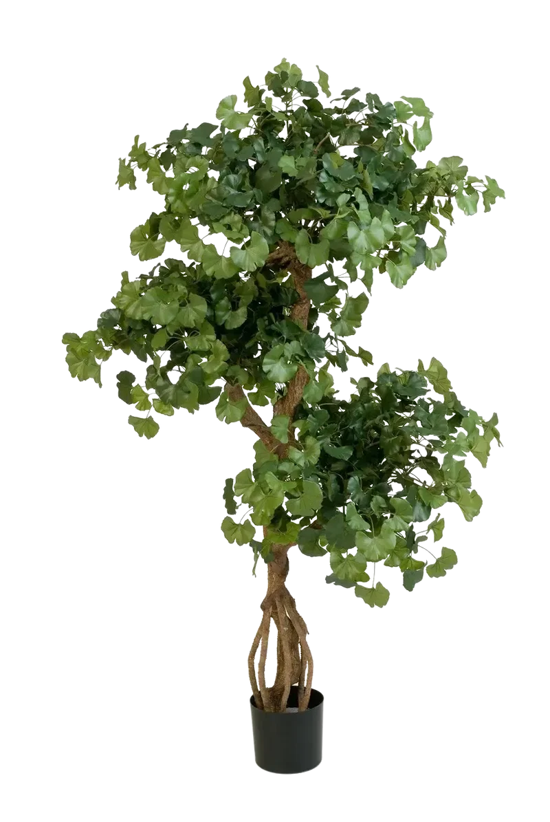 Kunst Gingko - Titus | 145 cm brandvertragend