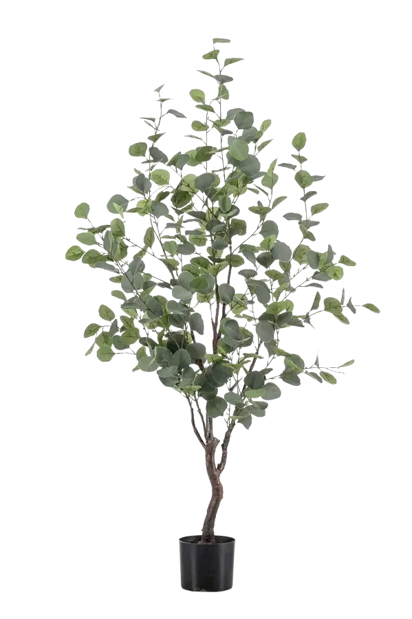 Kunst Eucalyptusboom - Christoffel | 120 cm