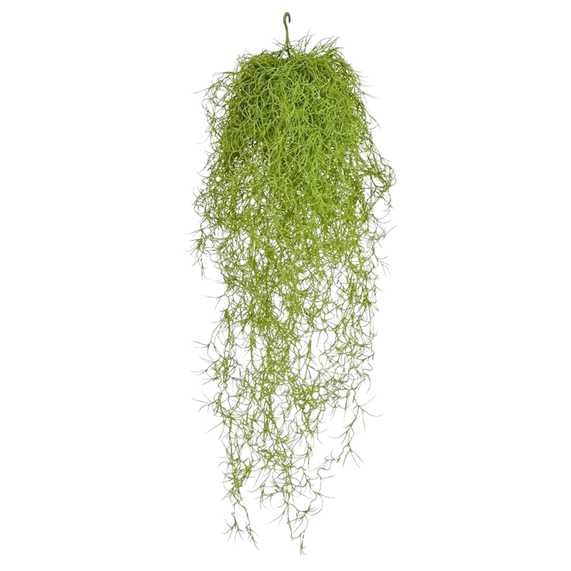 Kunst Tillandsia - Erwin | 75 cm