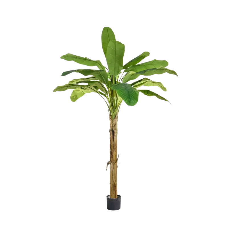 Kunstmatige bananenboom - Jonas | 180 cm