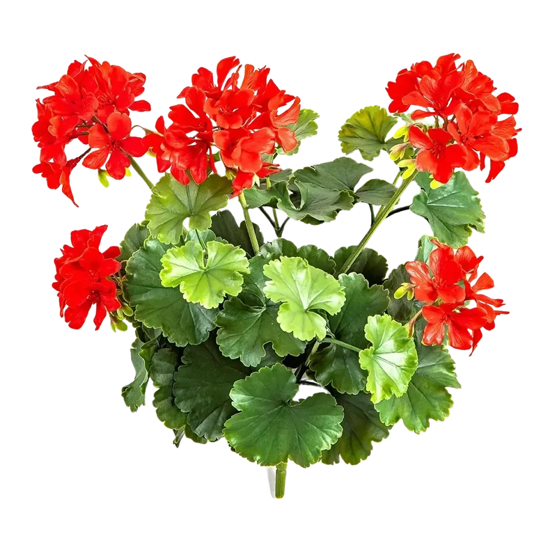 Künstliche Geranie - Zora | 39 cm, Steckpflanze