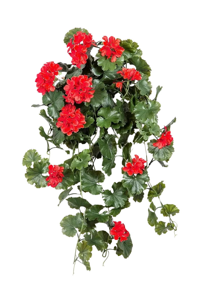 Künstliche Hängegeranie - Draco | 66 cm