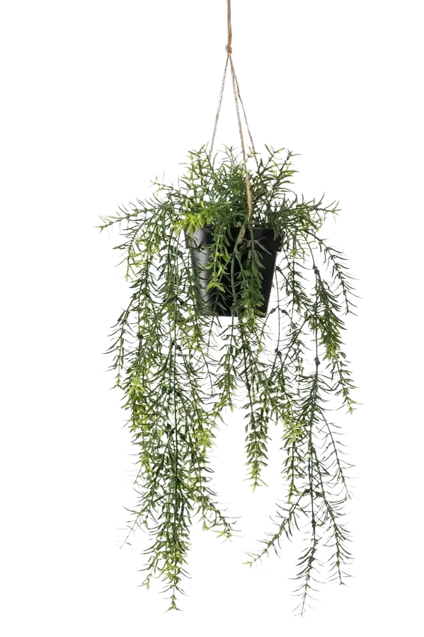 Kunst hangende asperges - Kilian | 50 cm