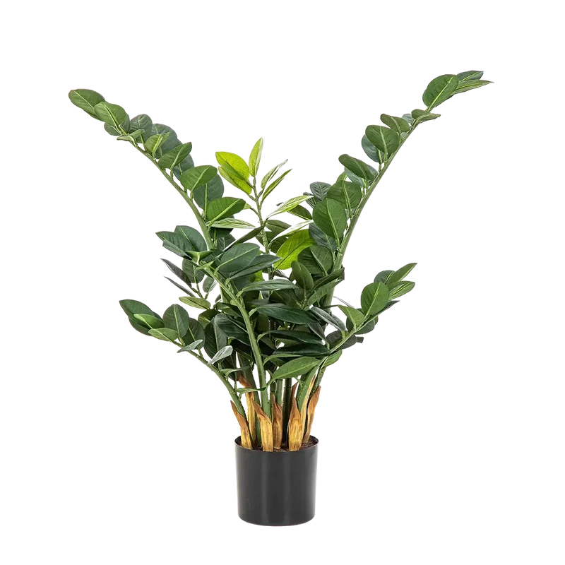 Kunst Zamioculcas - Svea | 66 cm
