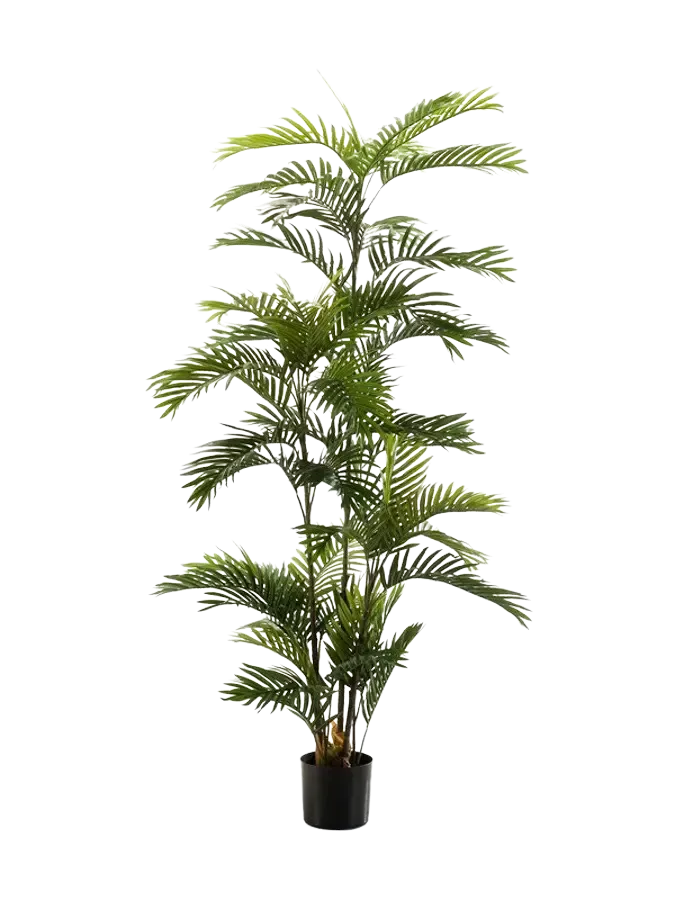 Kunst Feniks palm - Kira | 180 cm