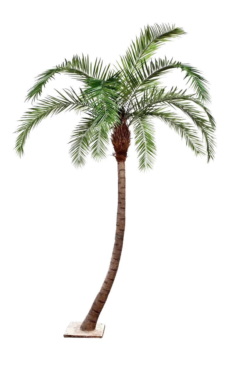 Kunst feniks palm - Simon | 330 cm