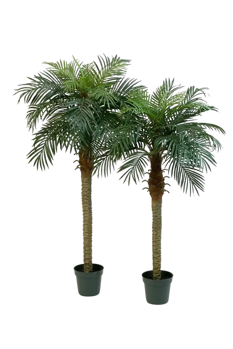 Kunst dadelpalm - Fabienne | 150 cm