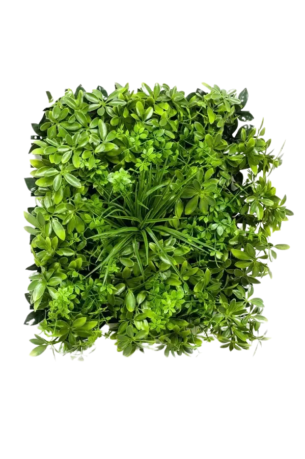 Kunst Schefflera Mat - Malte | 50x50 cm