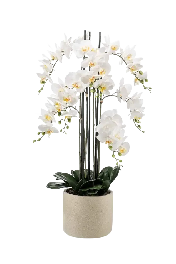 Kunst Orchidee - Louisa | 100 cm