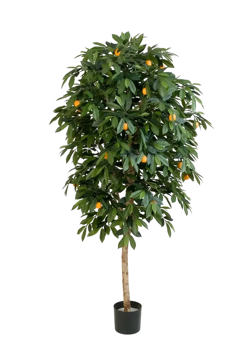 Kunst sinaasappelboom - Pius | 170 cm