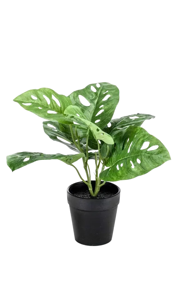 Kunst Monstera - Jonah | 30 cm