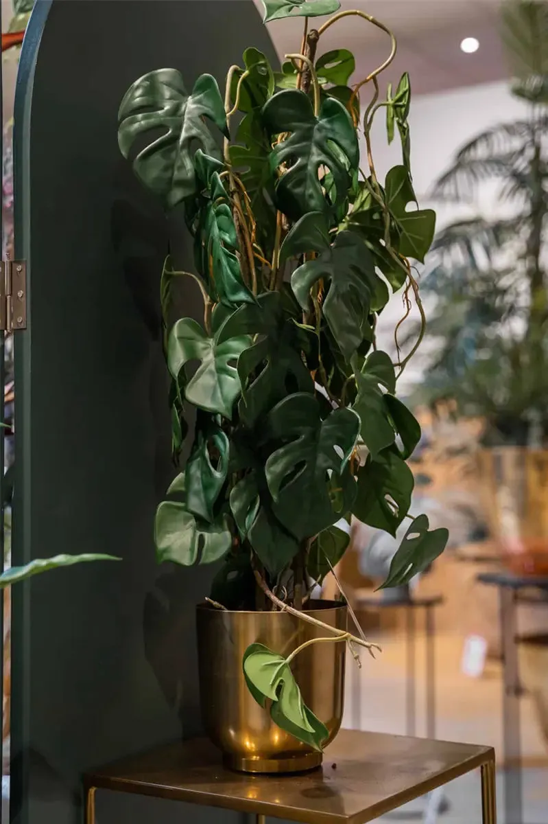 Kunst Monstera - Luise | 75 cm