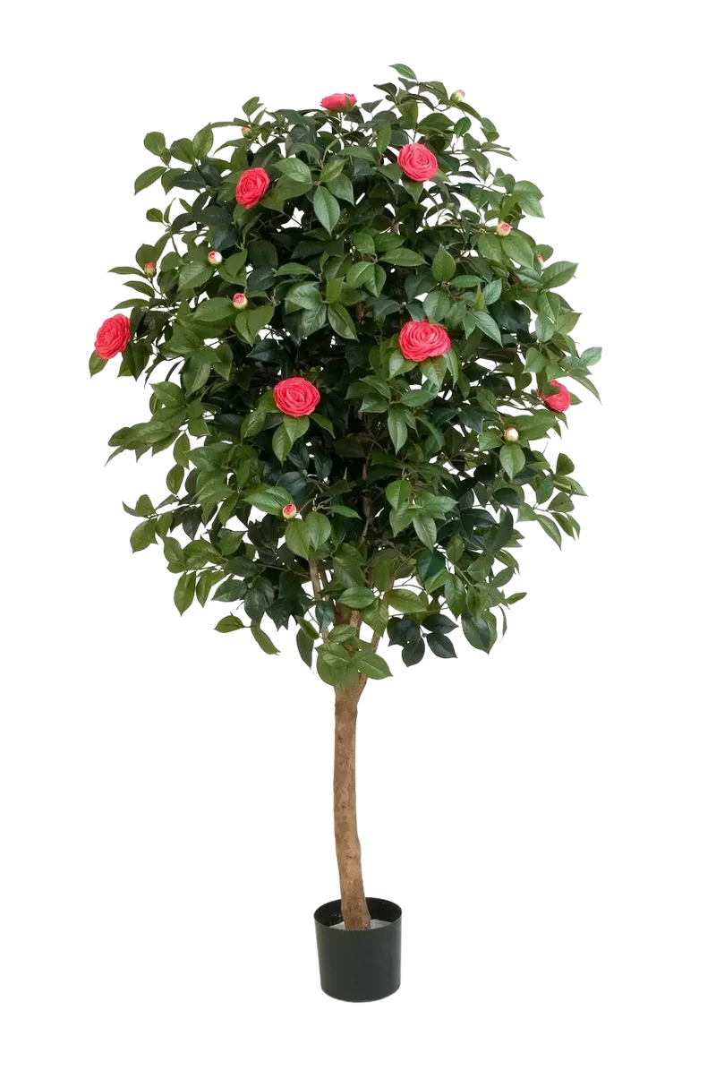 Kunst Camelia Boom - Philina | 170 cm