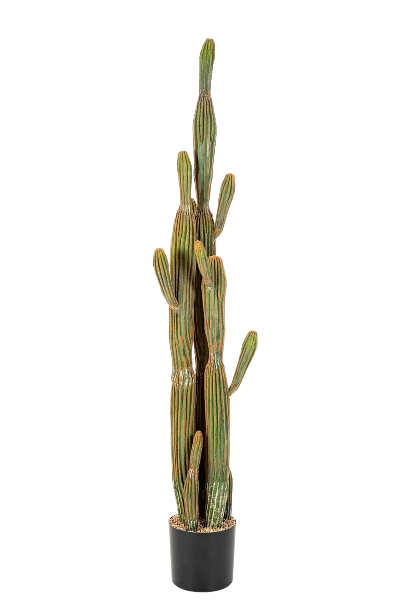 Kunst cactus - Heinz | 150 cm, Real Touch