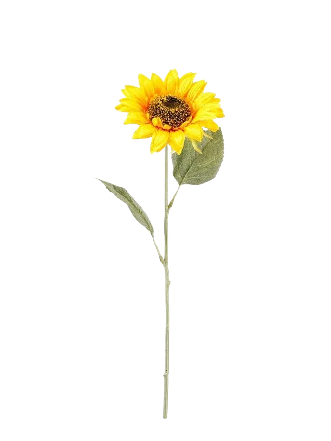 Kunst zonnebloem - Sunny | 62 cm