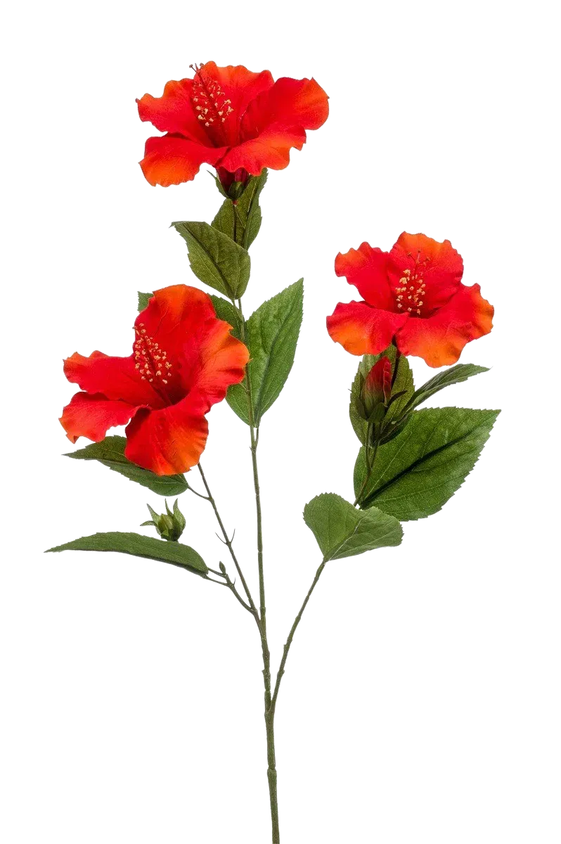 Kunst Hibiscus Tak - Tara | 82 cm