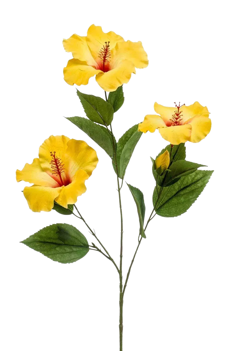 Kunst Hibiscus Tak - Mara | 82 cm
