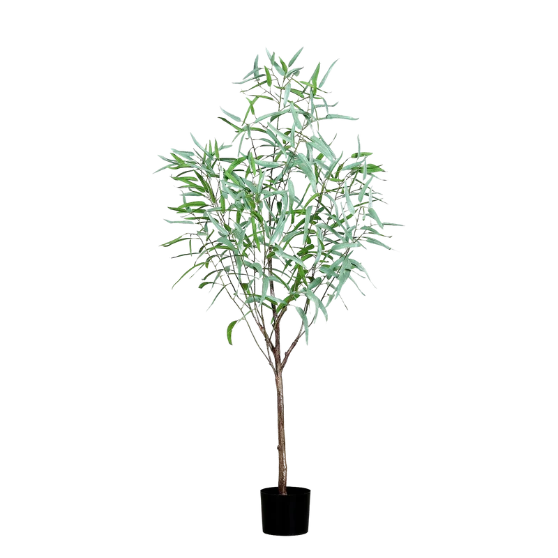 Kunst Eucalyptus - Manfred | 165 cm