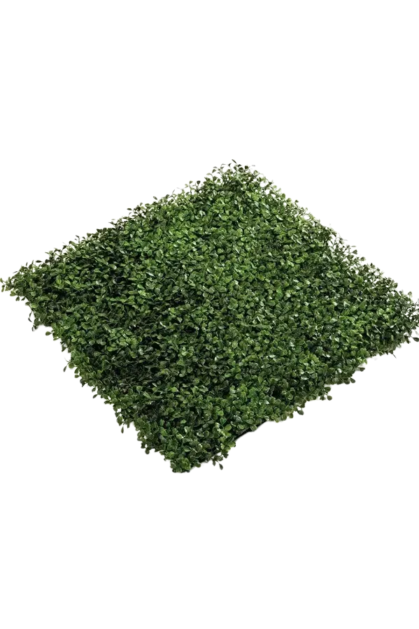 Kunst Buxus Mat - Nick | 50x50 cm