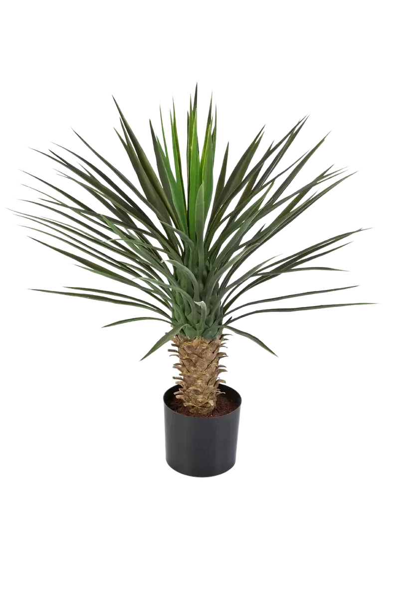 Kunst Yucca Rostrata Palm - Sven | 82 cm