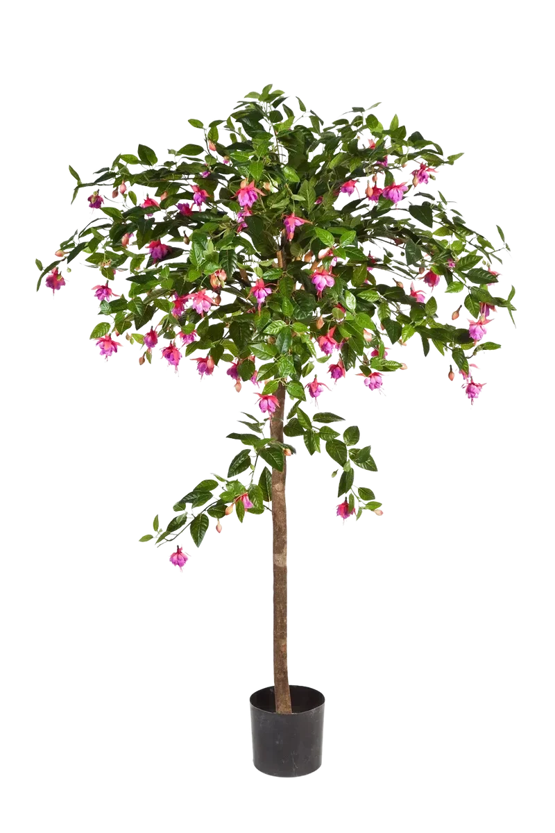 Kunst fuchsia - Regina | 140 cm
