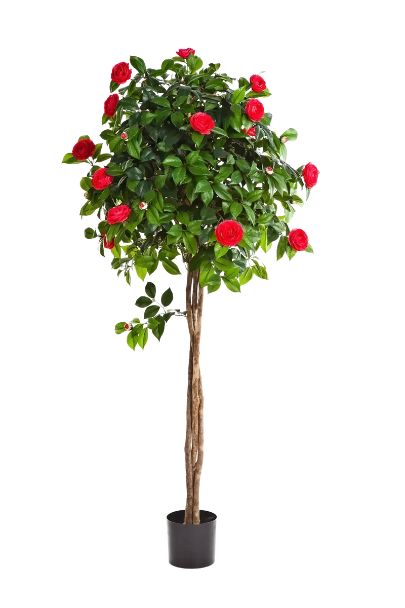Kunst Camellia Boom - Pelin | 160 cm