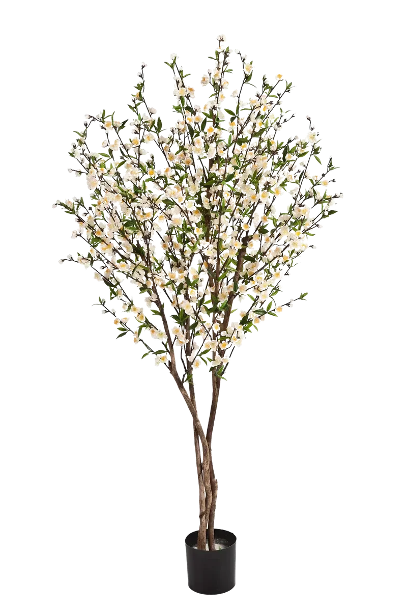 Kunst kersenboom - Willi | 170 cm