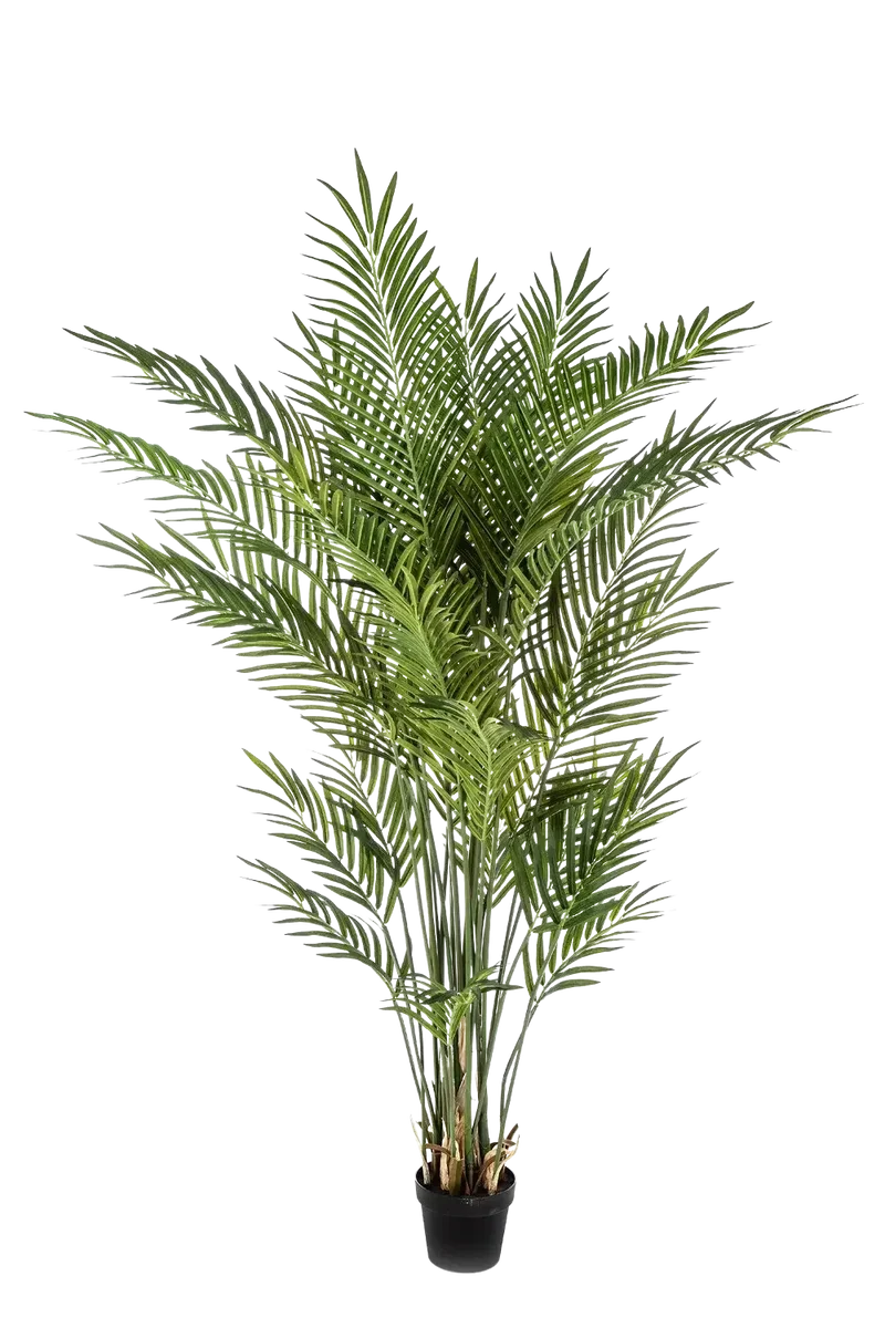 Kunst gouden fruitpalm - Eva | 200 cm