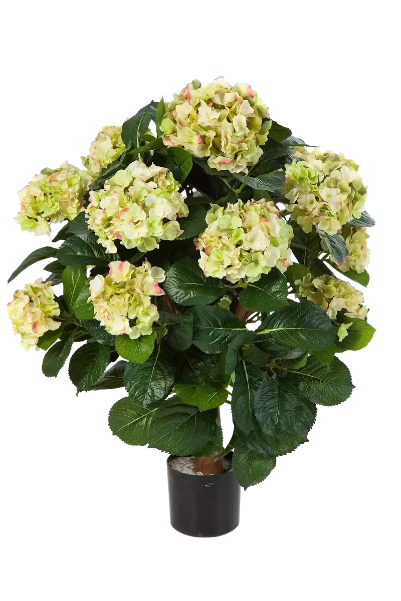 Kunst Hortensia - Noah | 62 cm