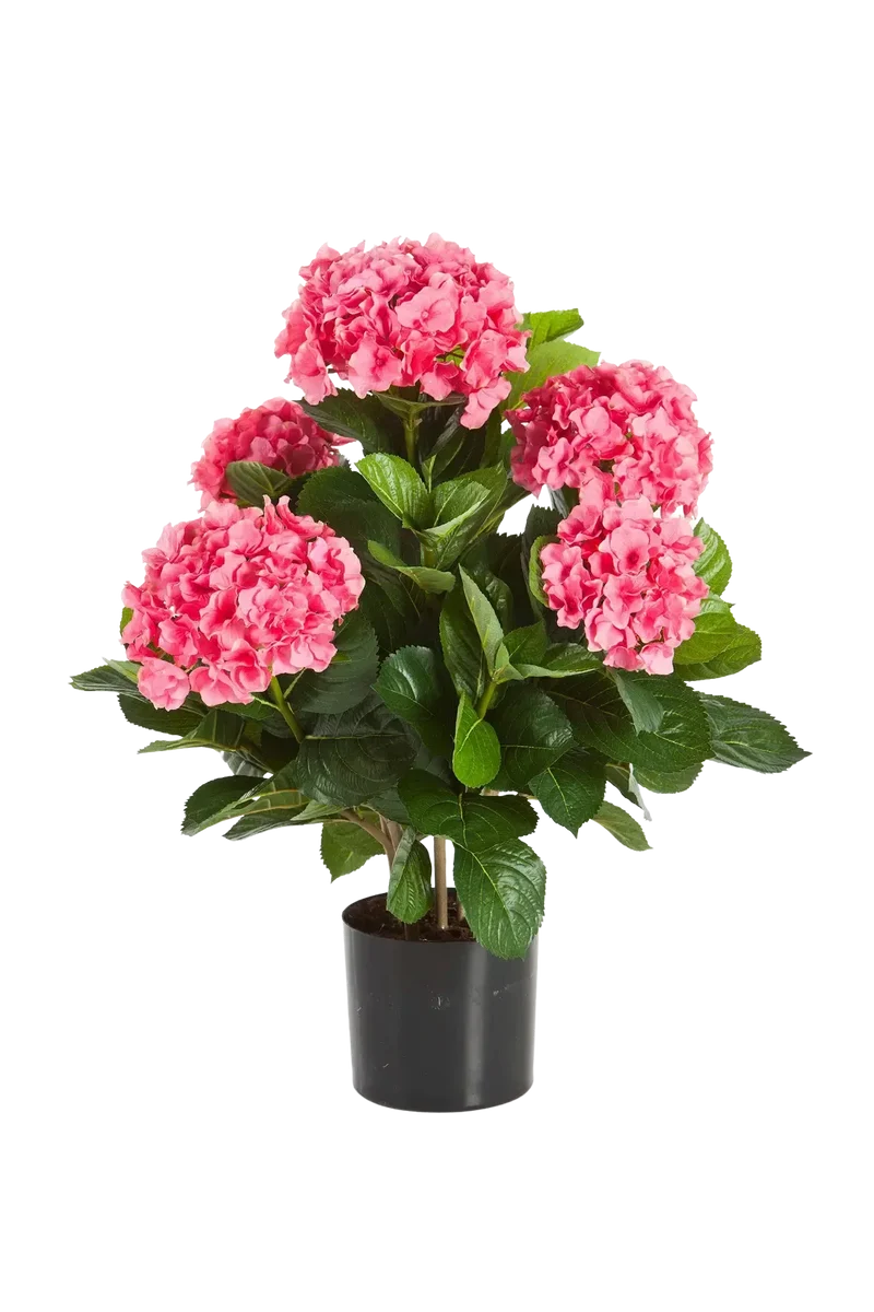 Kunst Hortensia - Nils | 53 cm