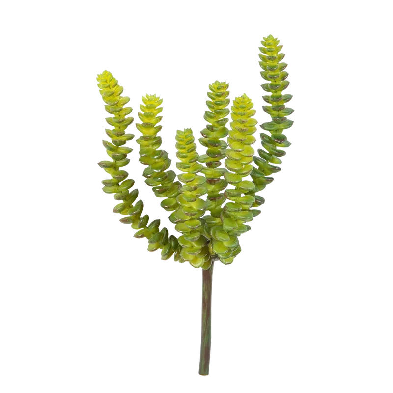 Kunst crassula - Hedi | 17 cm
