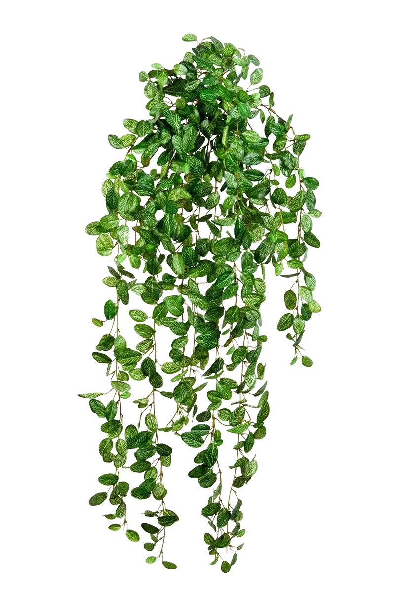 Kunst hangende Fittonia - Freya | 85 cm