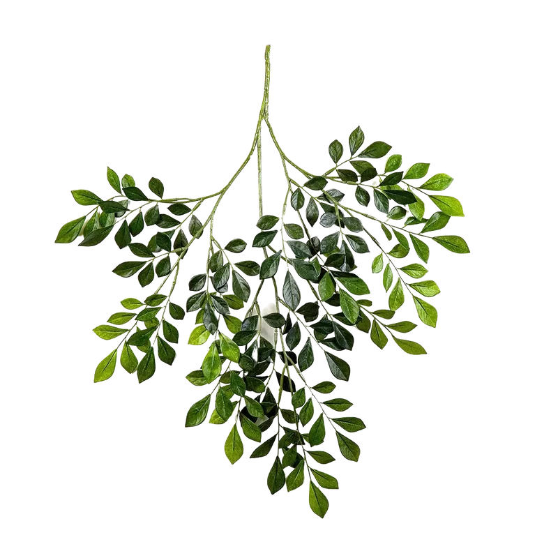 Kunst Murraya tak - Benjamin | 71 cm