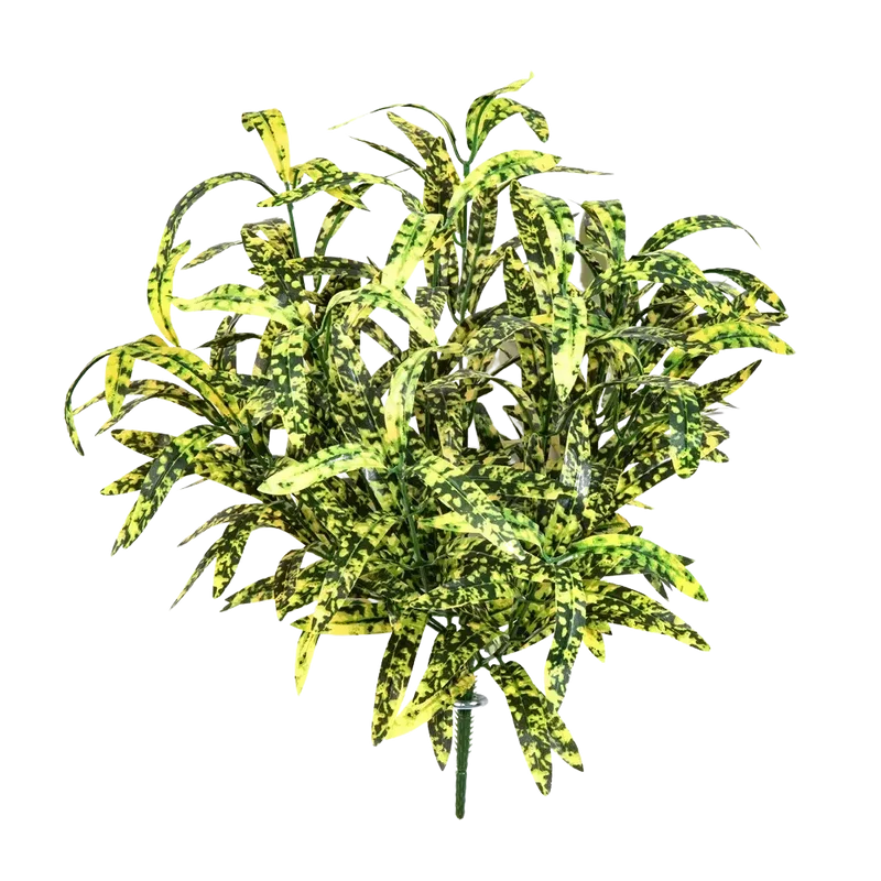 Groene Lelie - Bettina | 40 cm
