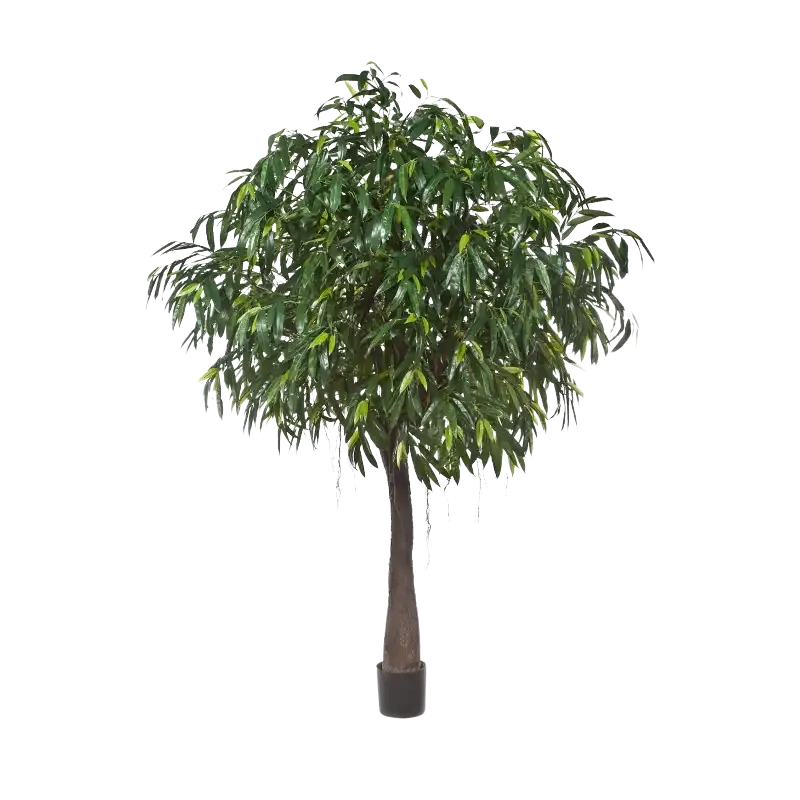 Kunst langbladige Ficus - Johannes | 270 cm