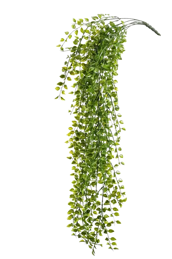 Kunst hangende ficus - Keno | 80 cm