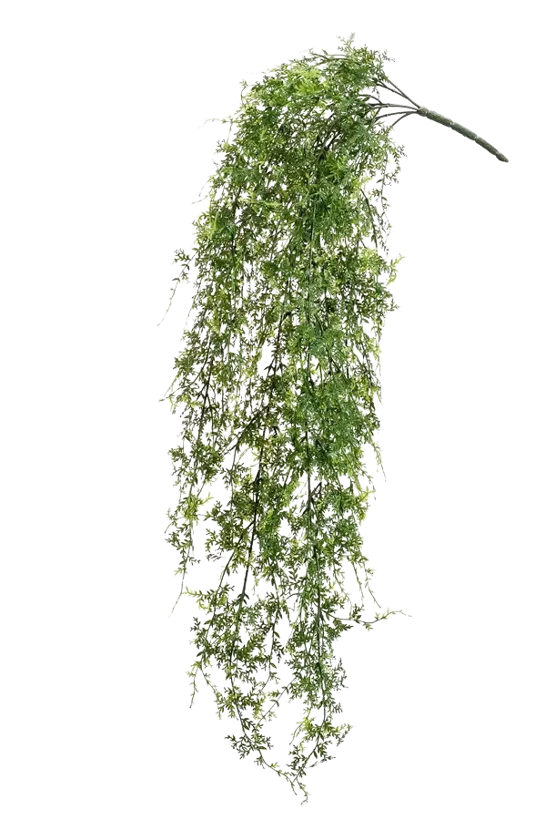 Kunst hangvaren - Katharina | 80 cm, plugplant