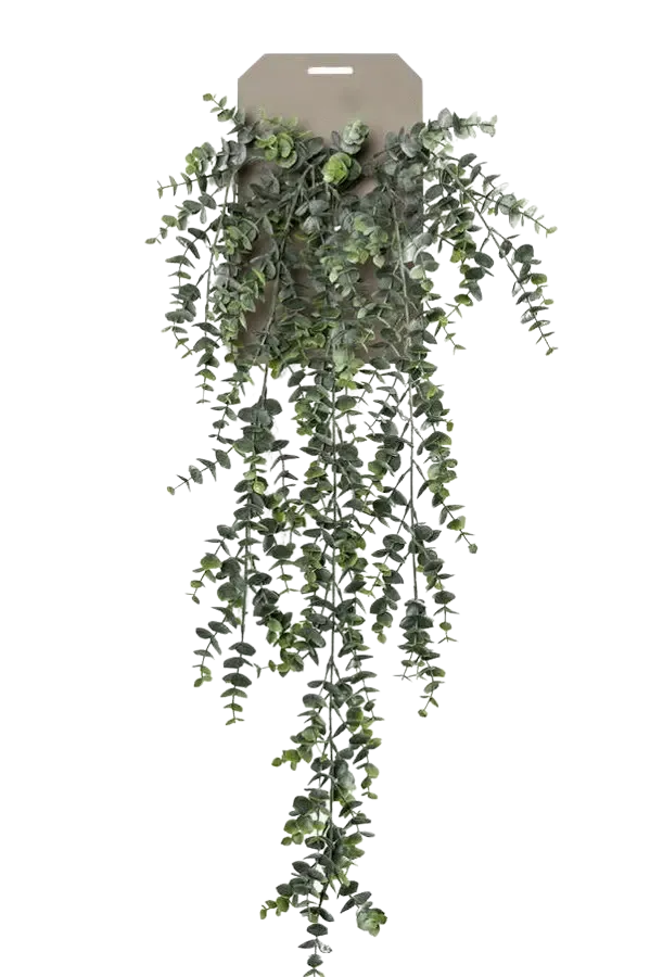 Kunst hangende eucalyptus - Richard | 75 cm